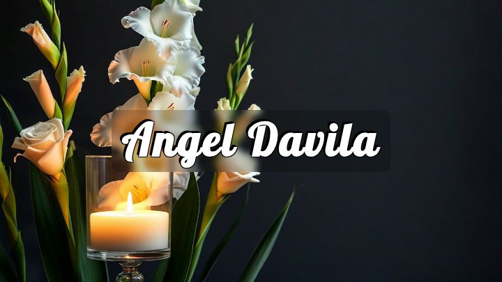 Angel Davila, Houston