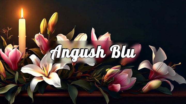Angush Blu, NC Highway 134 near Bethel Lucas Road, Randolph County, North Carolina