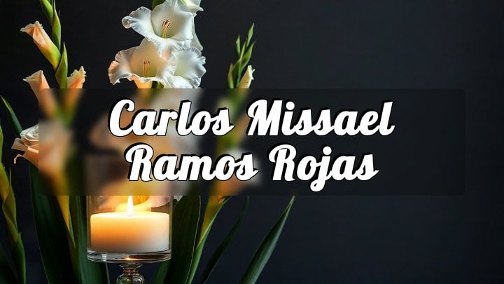 Carlos Missael Ramos Rojas, Dominican Republic