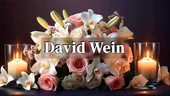 David Wein