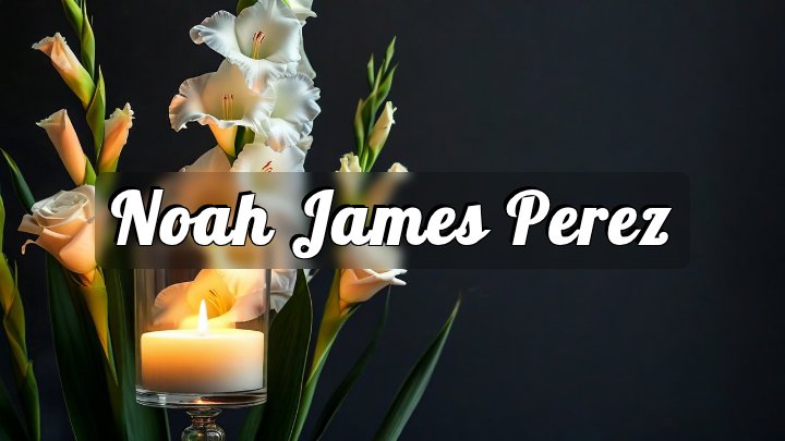 Noah James Perez, Edinburg, TX