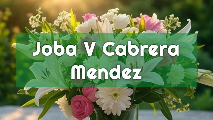 joba v cabrera mendez atlanta ga obituary