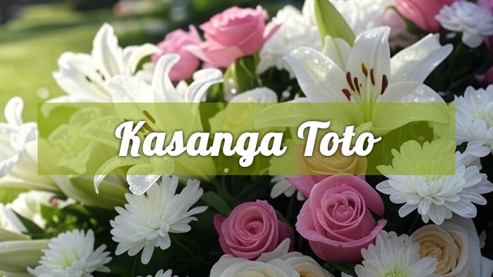 Kasanga Toto, Raleigh, NC