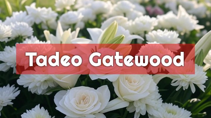 Tadeo Gatewood, Franklin, OH