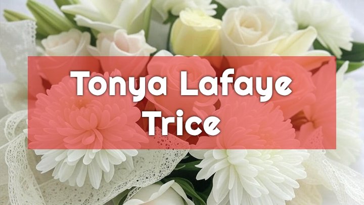 tonya lafaye trice lithonia ga obituary