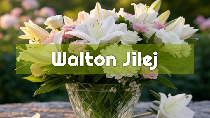Walton Jilej, Evansville, IN
